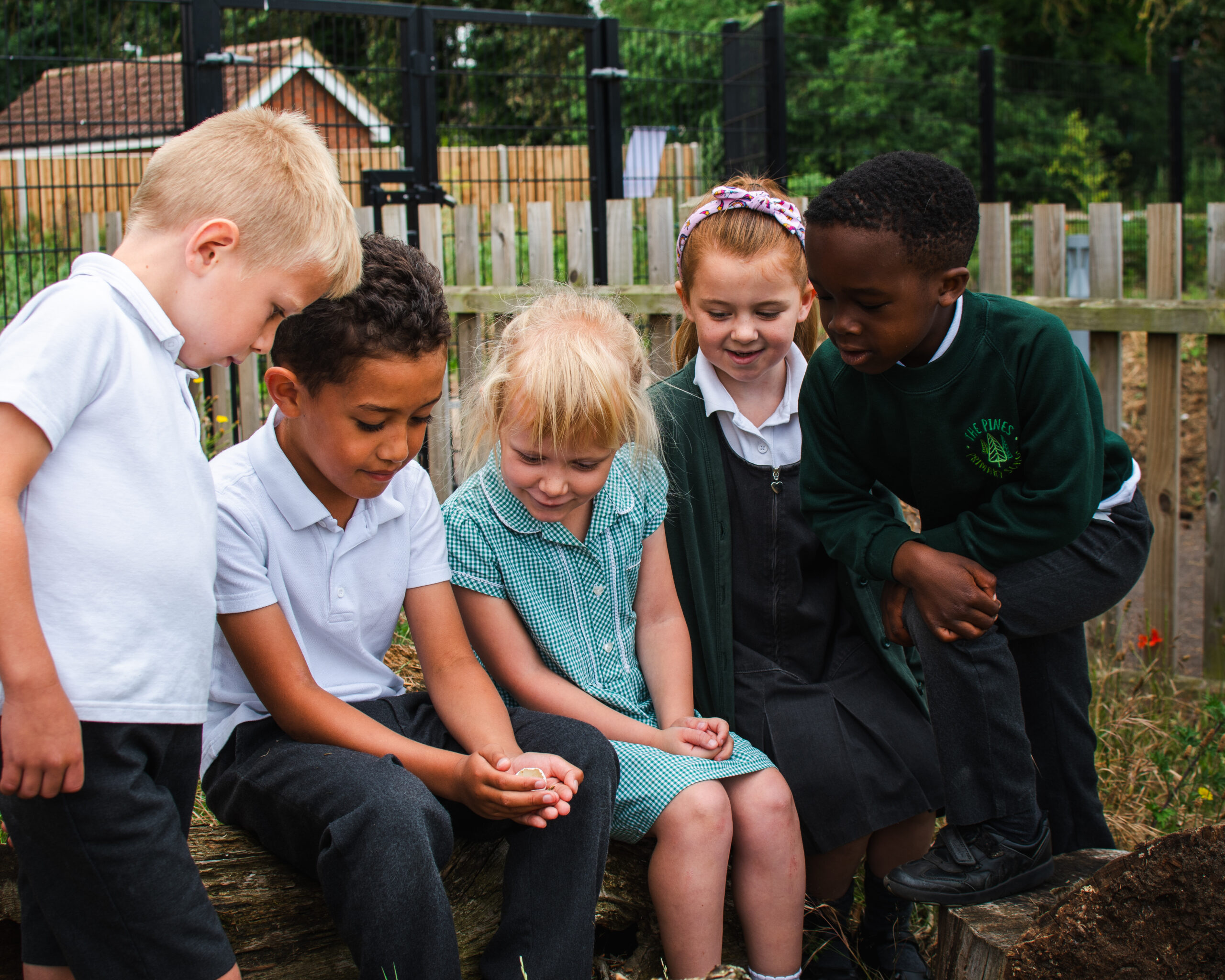 A group of children looking at an insect