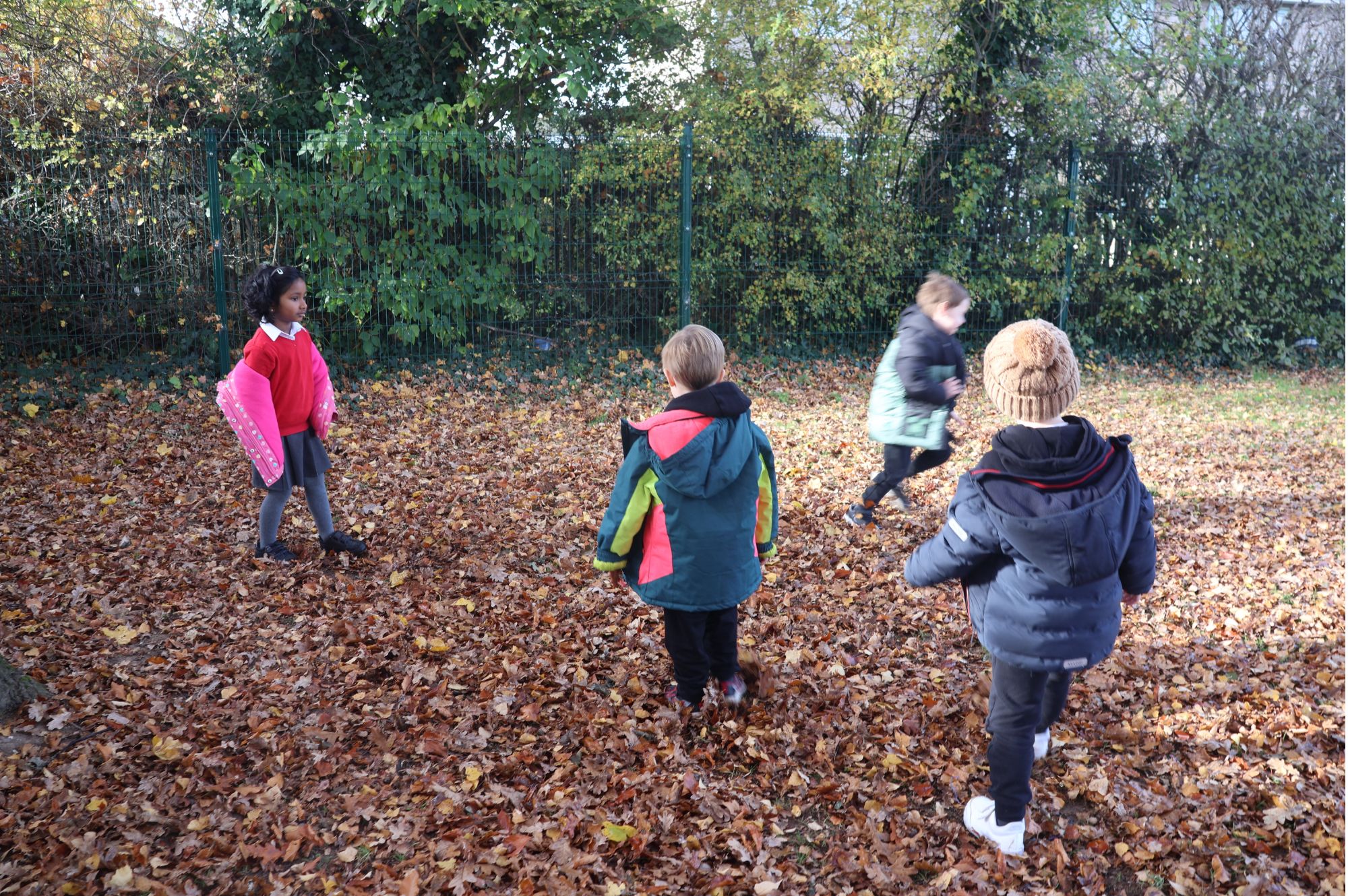 Four pupils are playing outside in fallen leaves next to a large tree. They are all wearing thick coats and hats.