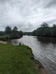 A river surrounded by grass and trees.