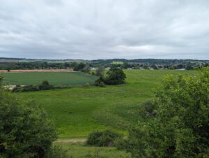 A field with trees and houses in the distance.