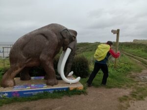 A person walking next to a statue of a mammoth