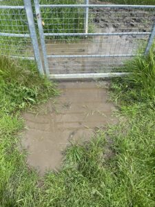 A puddle of mud under a metal gate.