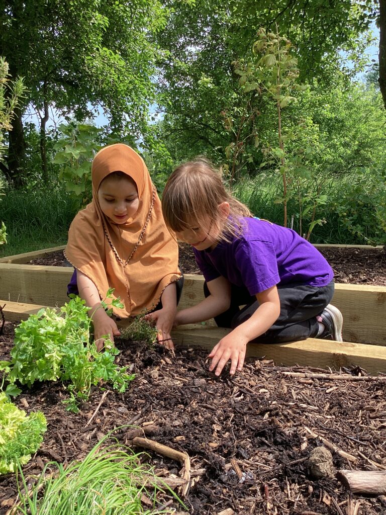 Two young pupils are sitting next to a vegetable patch. One pupil is wearing a purple top. The other is wearing a hold headscarf. They are planting a seed within the patch.